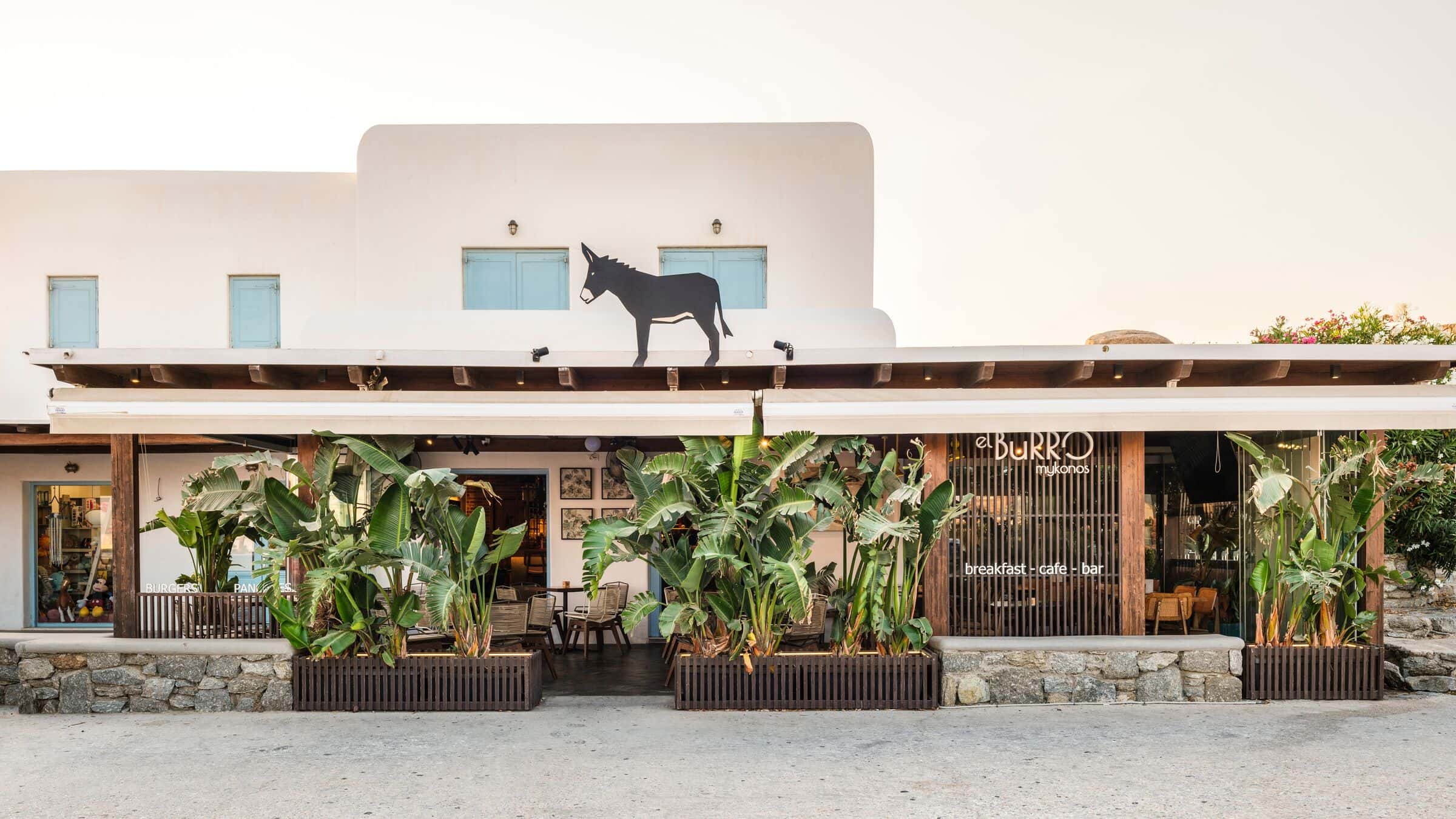 The El Burro building from the road, with a donkey on the roof and plants along the courtyard