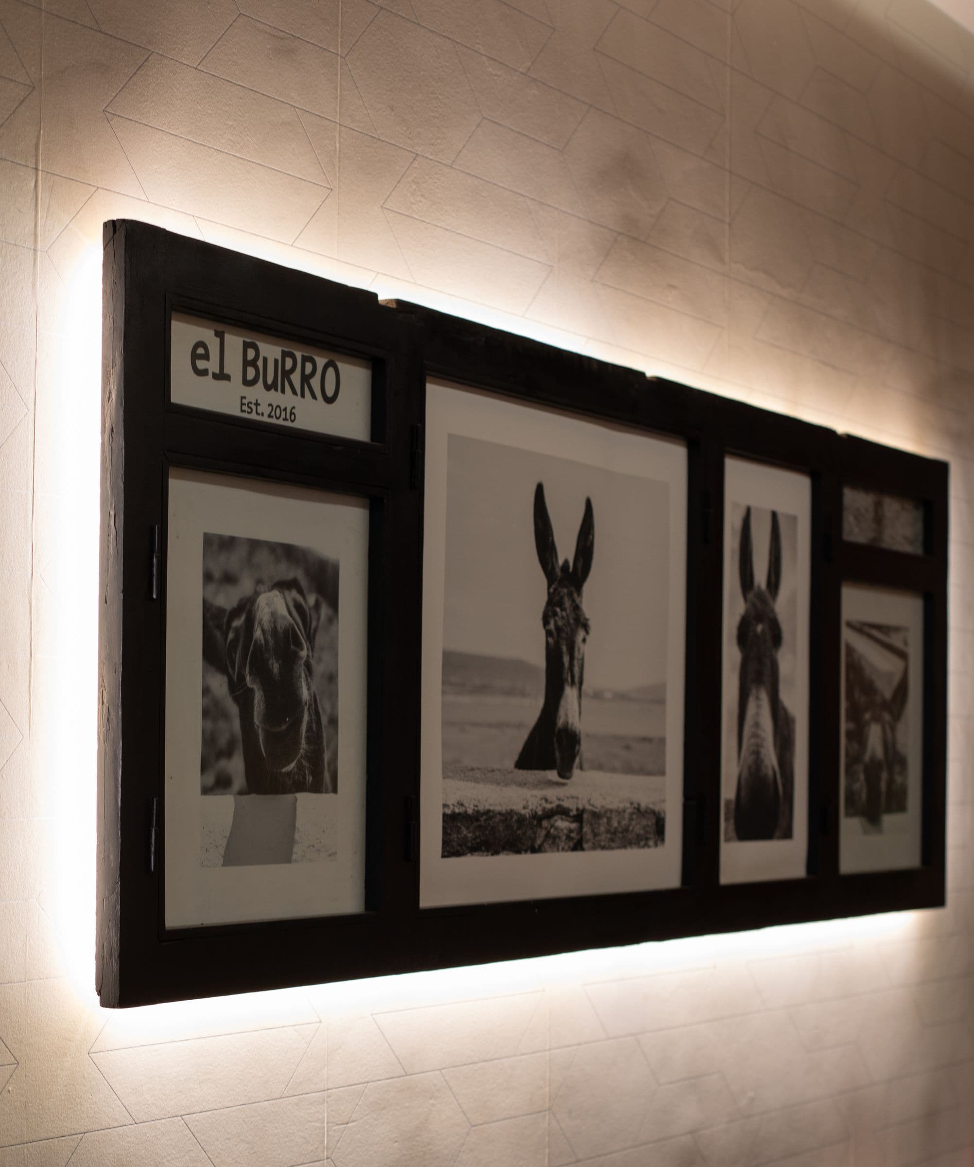 Backlit black and white donkey portraits and the el BuRRO Est. sign