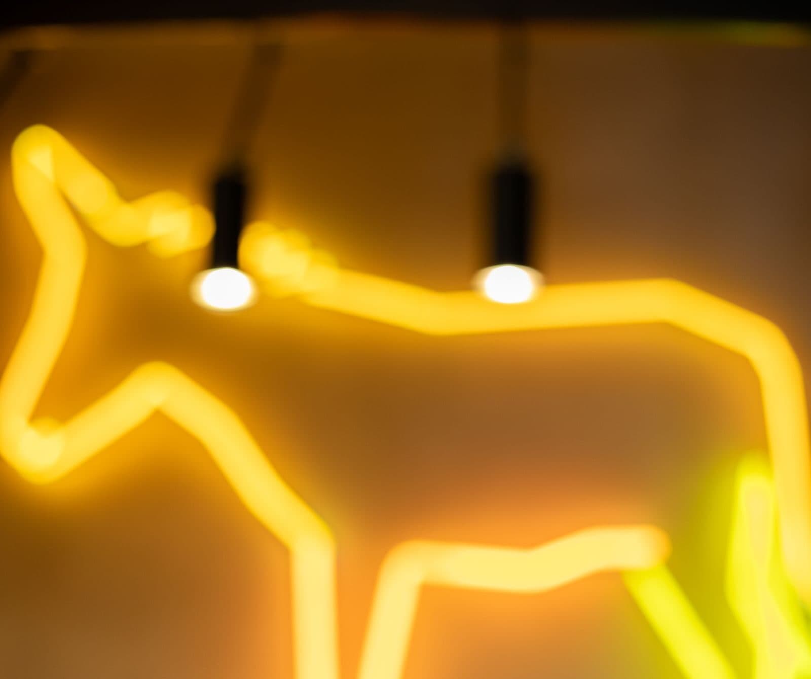 The yellow neon donkey glowing on the wall at El Burro